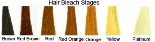 Your Blonde Hair Journey -