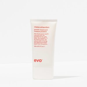 Mane Attention Protein Treatment