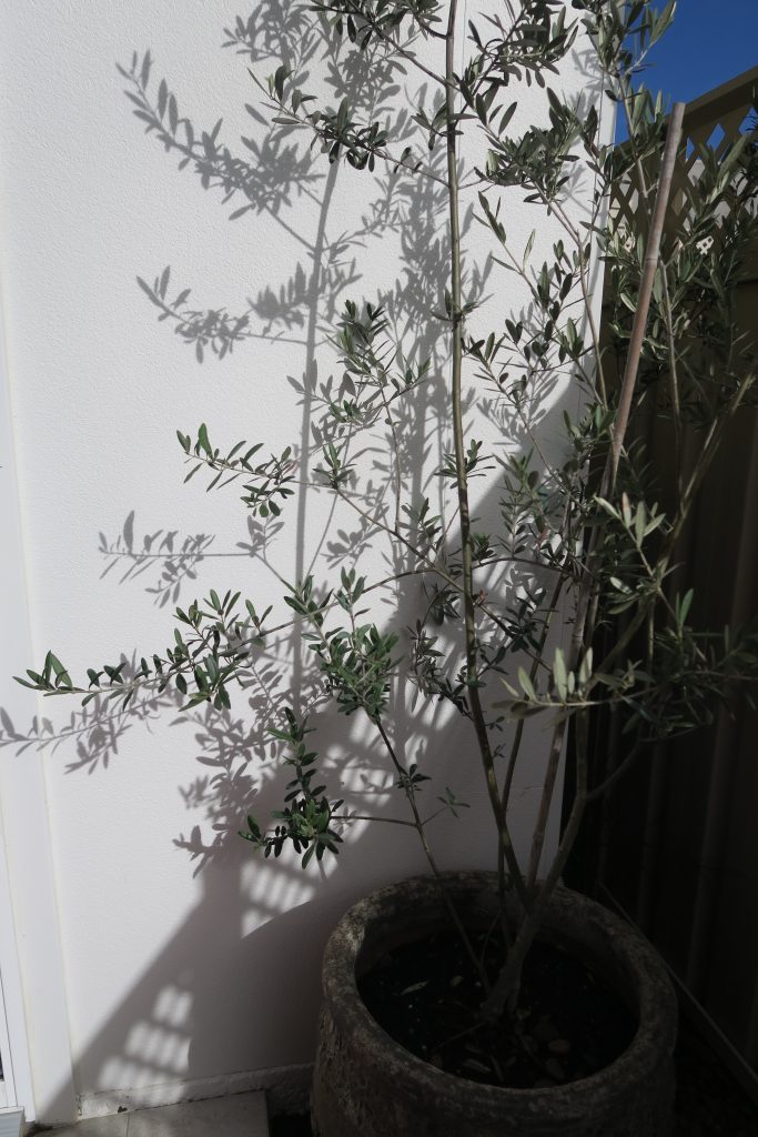 Price List - Price List